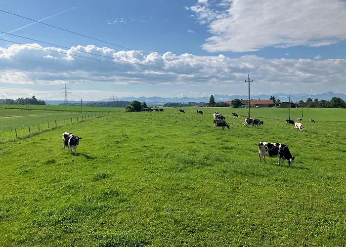 Stilvolle Auszeit Mit Aussicht * Haldenwang